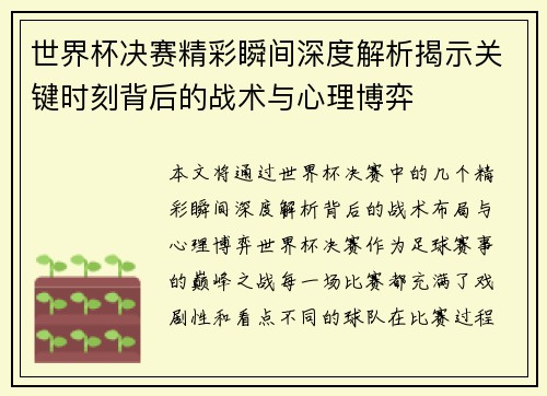 世界杯决赛精彩瞬间深度解析揭示关键时刻背后的战术与心理博弈