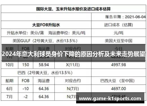 2024年意大利球员身价下降的原因分析及未来走势展望